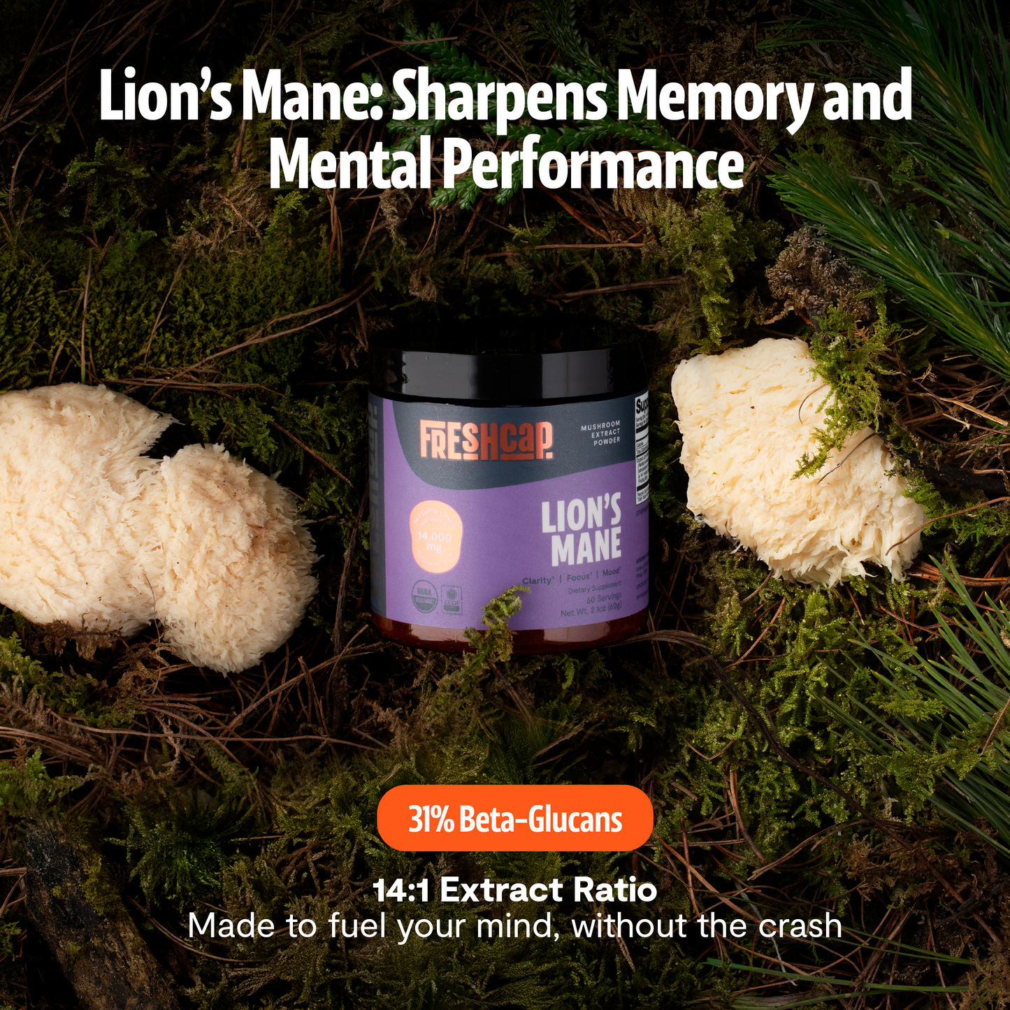 Organic Six-Mushroom Daily Capsules