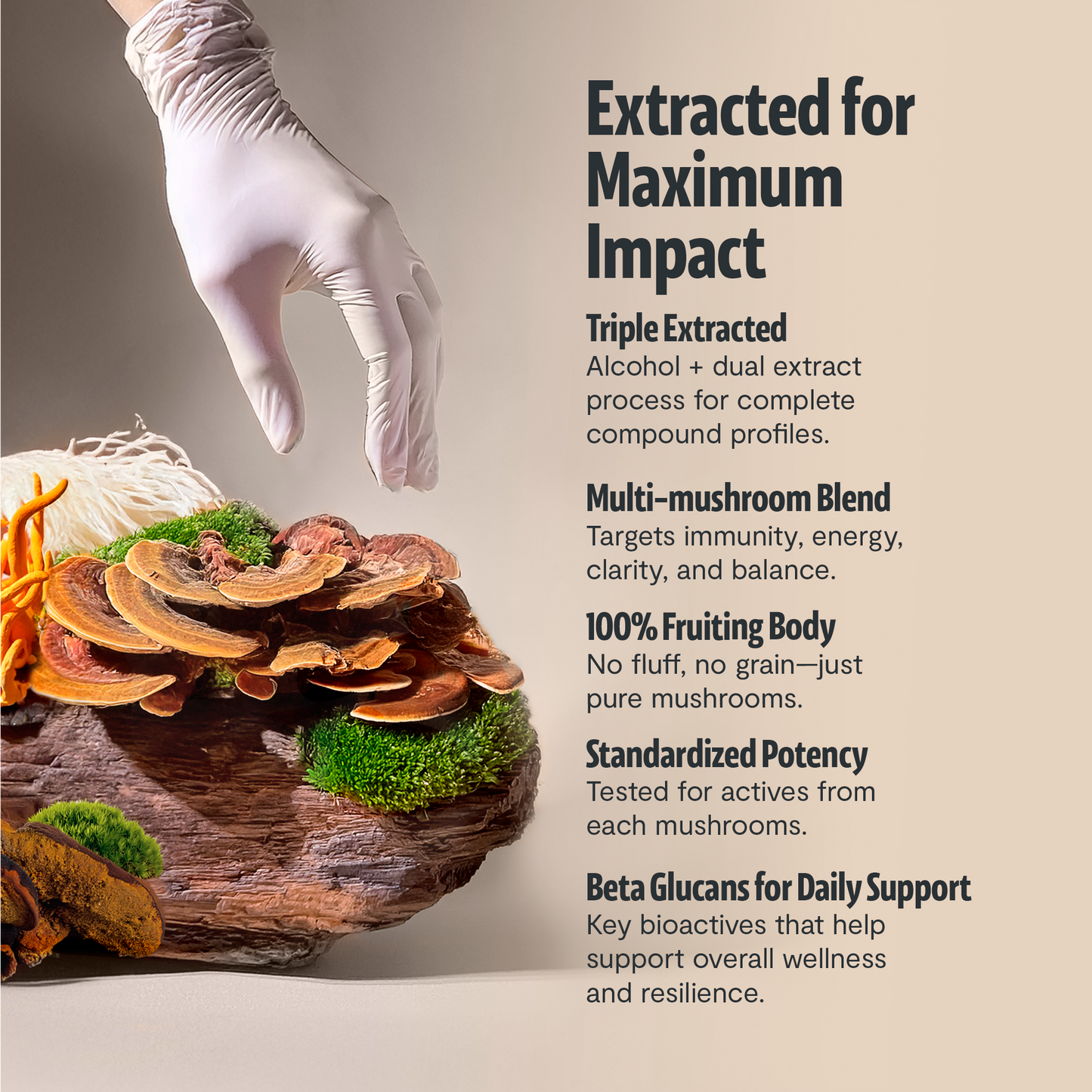 Organic Six-Mushroom Daily Capsules