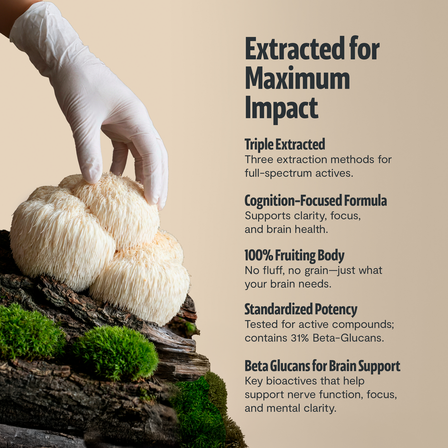 Organic Six-Mushroom Daily Capsules