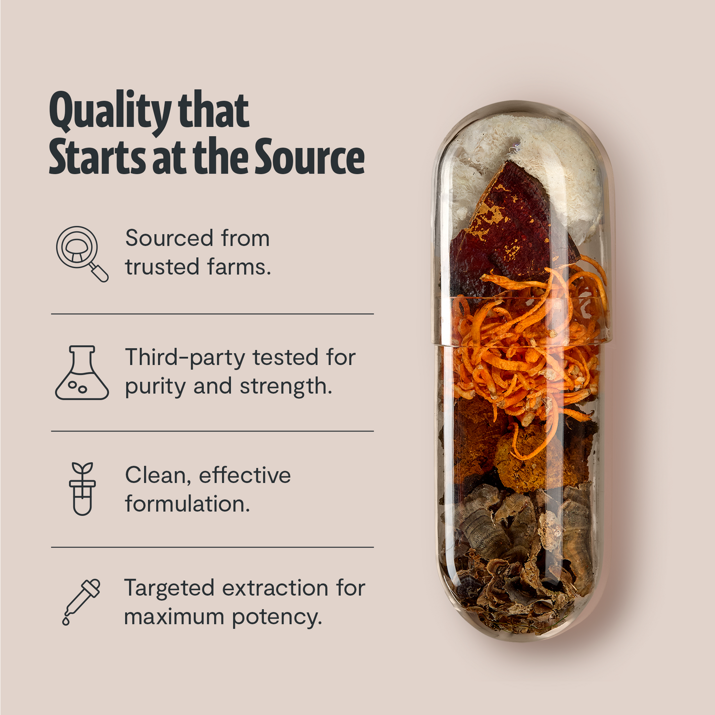Organic Six-Mushroom Daily Capsules