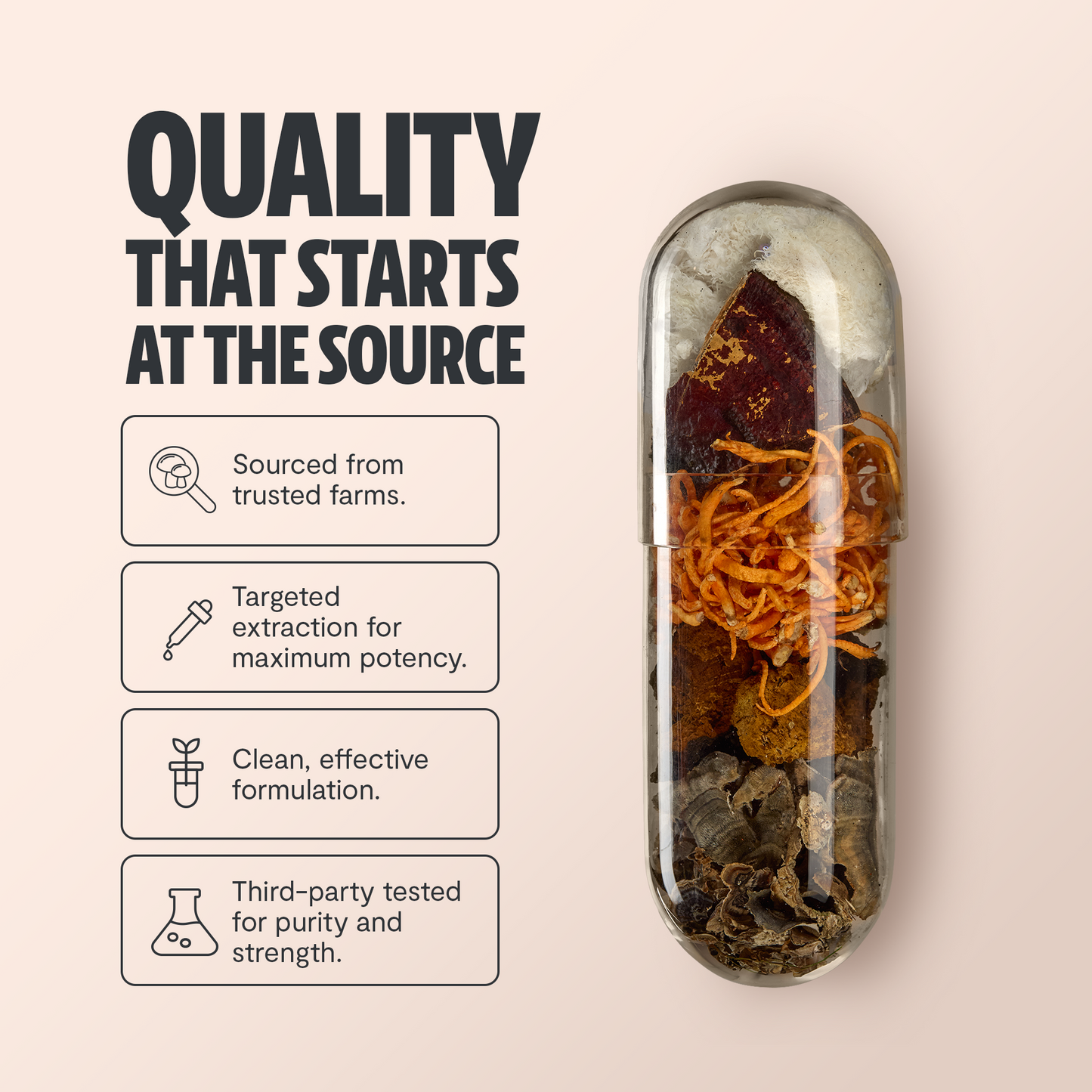 Organic Six-Mushroom Daily Capsules