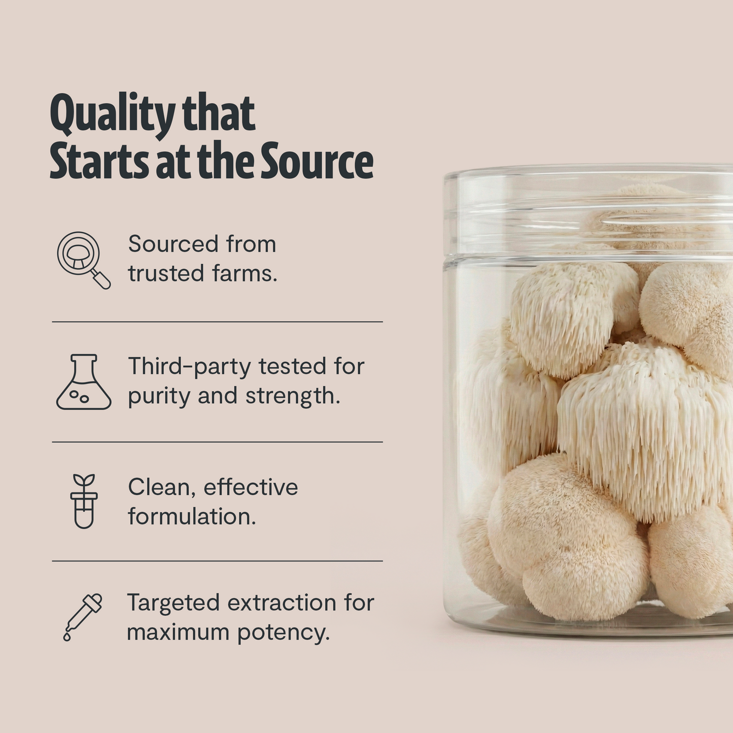 Organic Six-Mushroom Daily Capsules